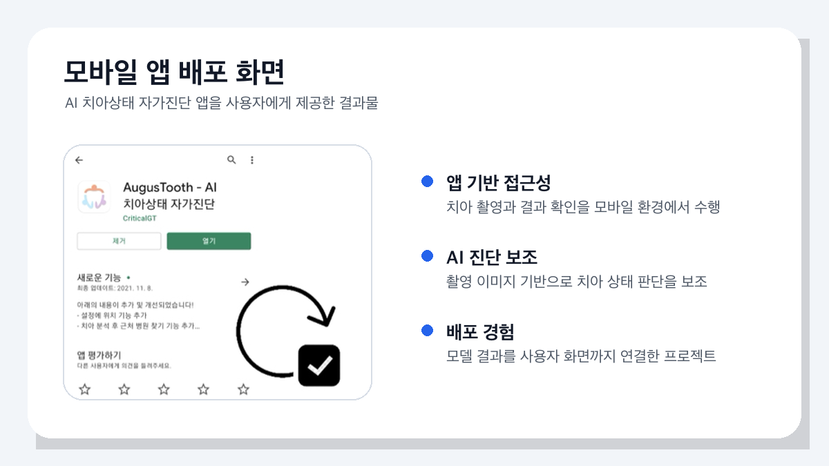 치아 인식 및 인스턴스 세그멘테이션 결과 화면